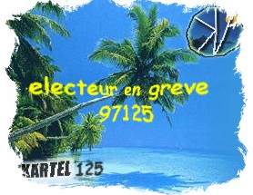 electeur en greve